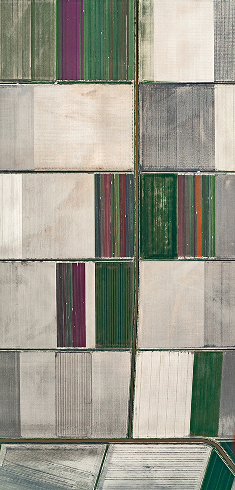 Aerial views Netherlands art Flowers tulips fields color