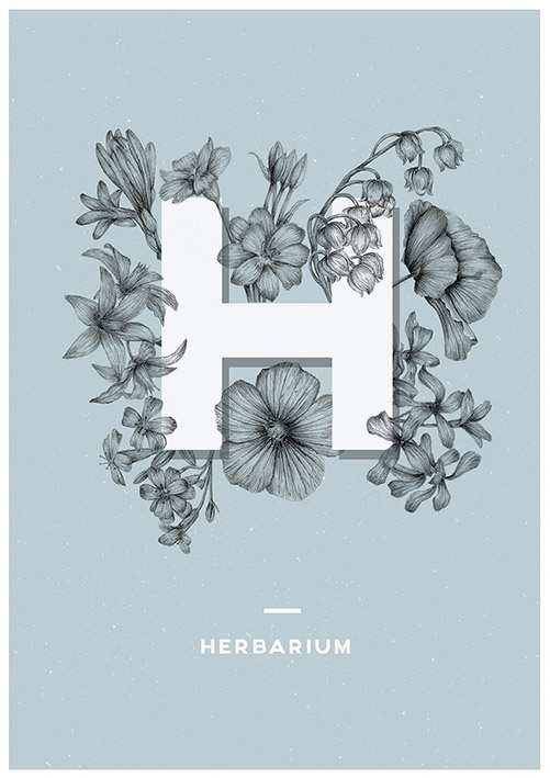 Flowers posters Herbarium Nature polish