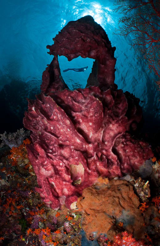 underwater photos photography magazine editor