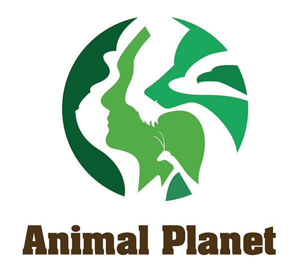 Animal Planet Logo on Behance