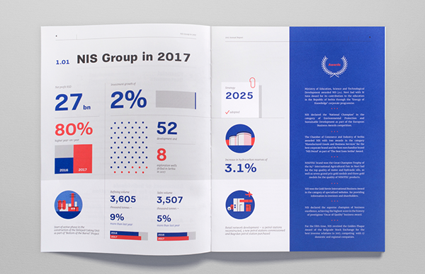 NIS Annual Report 2017