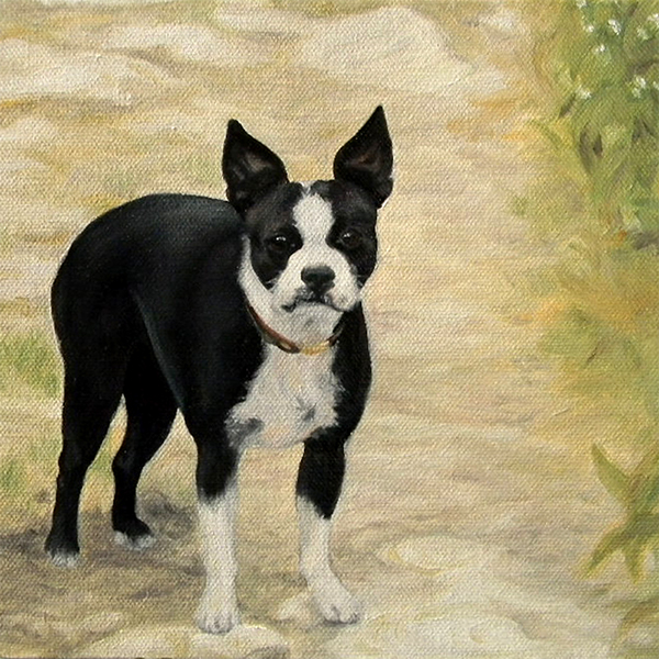 Pet portraits art dog