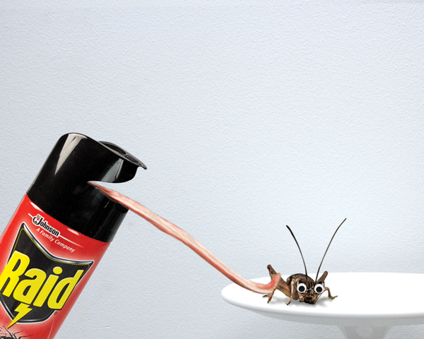 raid photoshop print ad campaign bug spray brand