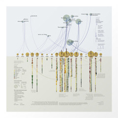 data visualization Data visualization information design information design InfoViz dataviz art vincent van gogh