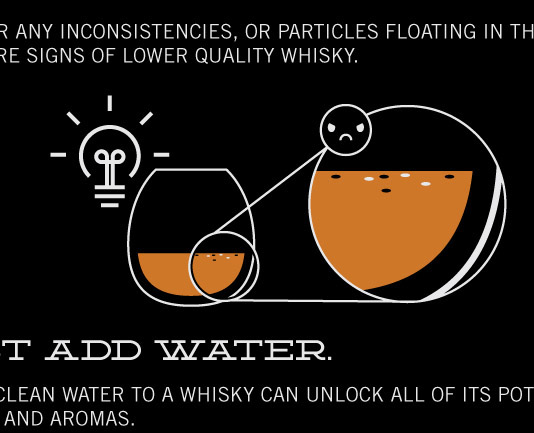 Whisky drinking alcohol infographic information how to print