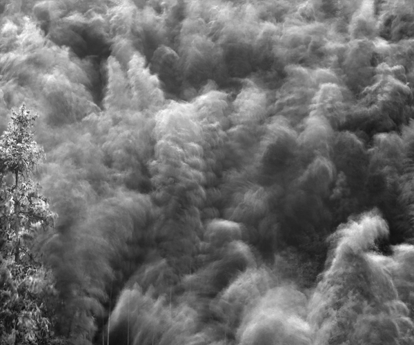 Anhui province bamboo bamboo forest china Deforestation environment Extinction forest jonwyatt.co.uk landscape photography six seconds Posted in Destinations Environmental Issues Limited Edition Prints projects trees