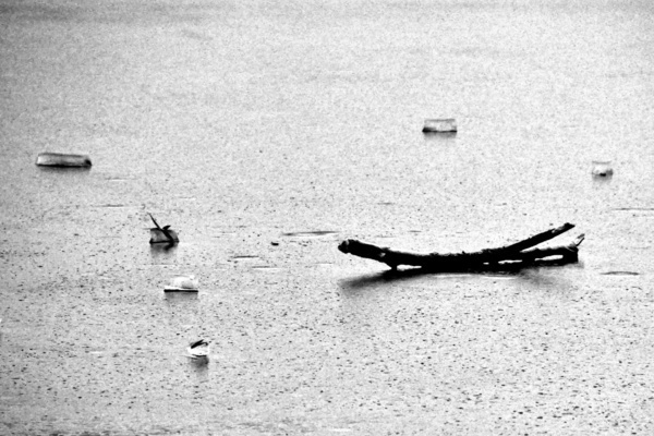 winter b&w Rowboats Out of season 2009 Lyngby denmark