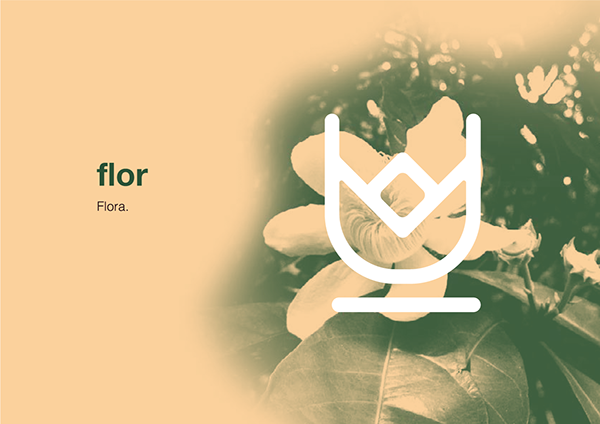 O Segredo Na Floresta Projects  Photos, videos, logos, illustrations and  branding on Behance