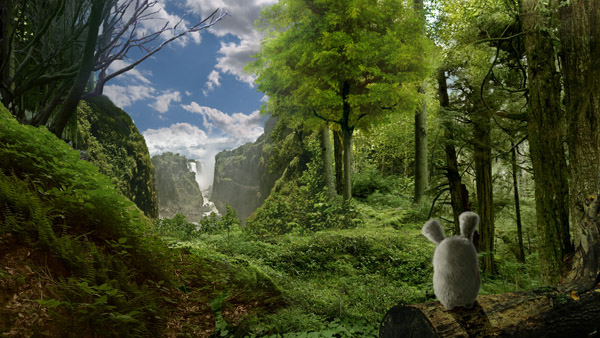 forest Nature retouch photomanipulation