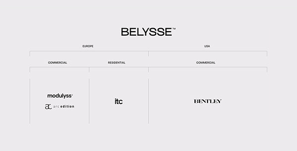 Belysse™ - Branding