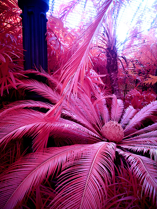 infrascapes infrared infrared photography Landscape fine art fine art photography art arte Photography  kolarivision