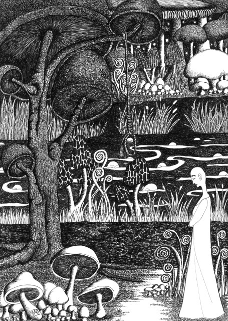pen and ink black and white pigment ink bristol board  india ink  Mushrooms  fungus  fungi  Quincunx dreams dream sequence