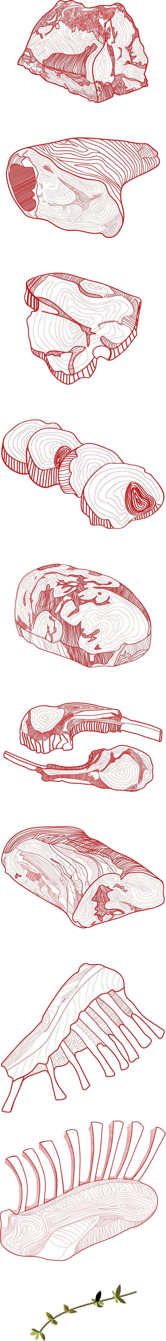 meat  Illustration