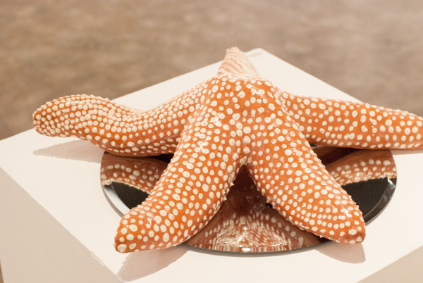 terracotta clay Cermaics sculpture starfish slip paint undergrad art student Student work sea life
