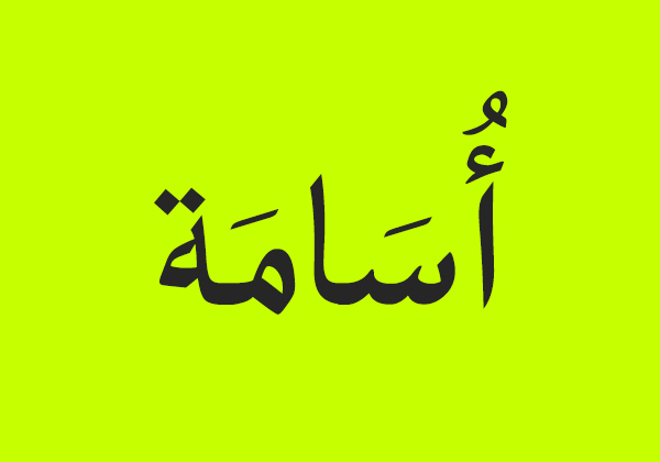 font fonts arabic arabic font Arabic Fonts typo design