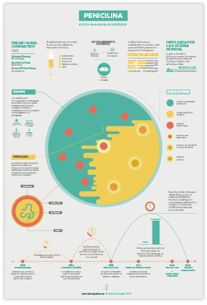 information design Penicillin penicilina Health salud medicina medicine fleming infographic Cell flat design infography