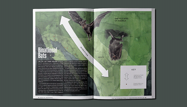 Scientific Illustration - National Geographic Magazine