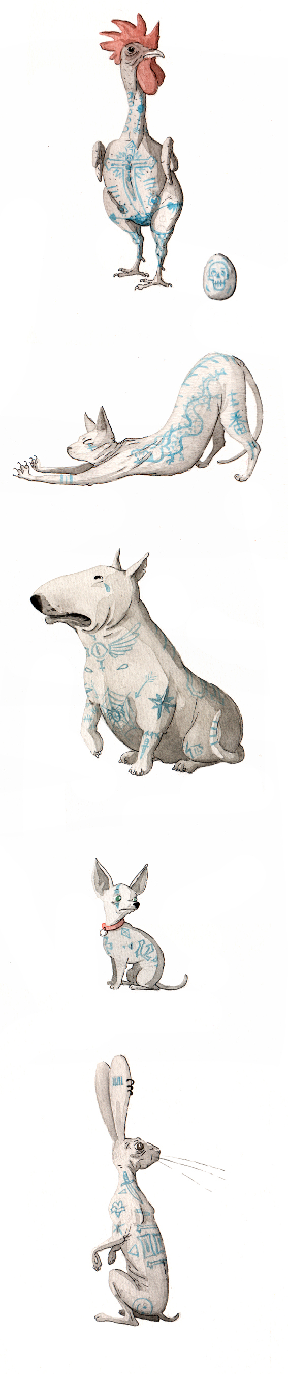 ILLUSTRATION  characterdesign comic watercolor animal Pet Cat dog Chiahuahua tattoo