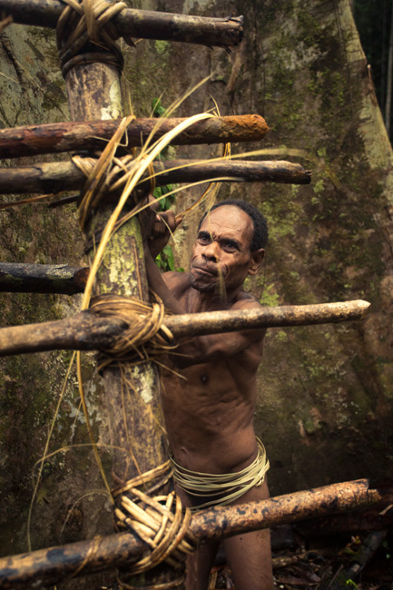 korowai tribe Papua indonesia forest jungle remote trees movie pre-production