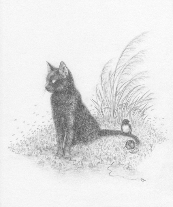 miromiro tomtit bird Cat pencil paper delicate detail cute
