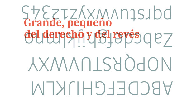 type design  typography
