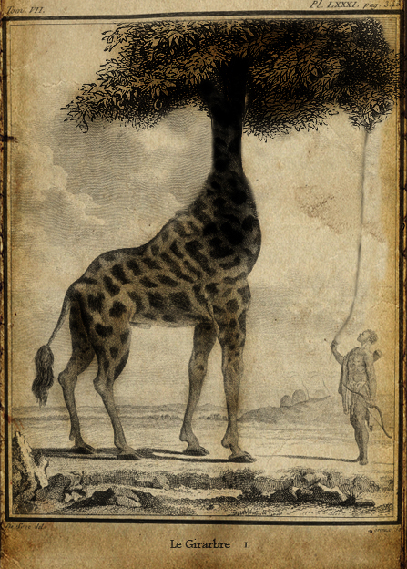book books libris libro livre Ex giraffa escargot clessidra morte mors skull nimpha vintage Retro