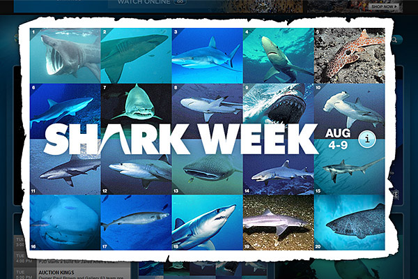 Discovery Channel websites Interactive Lightbox Shark Week