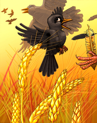 Baraka blackbird illustrated storybook akinseye olusola