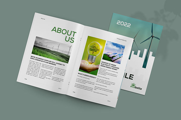 Solar Company Profile Brochure Design