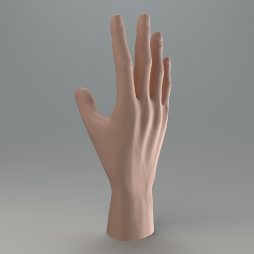 hand 3D 3ds max Mudbox anatomy