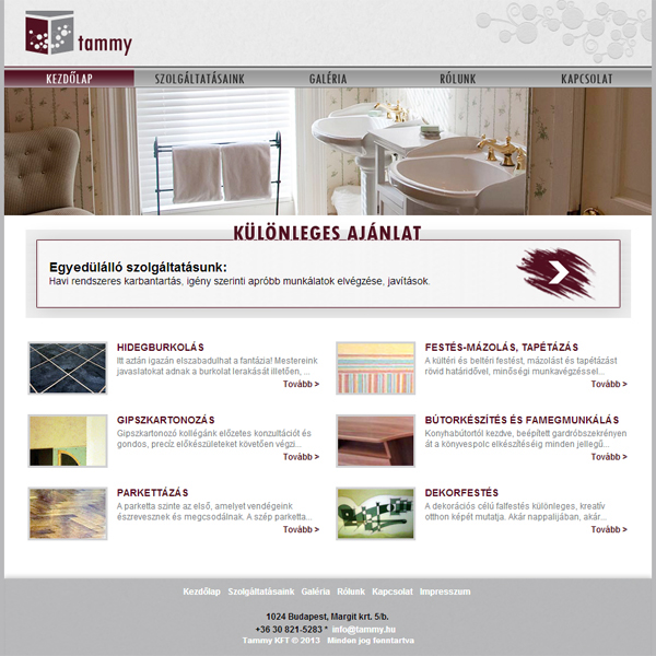 tammy logo design Website webpage business card red gray