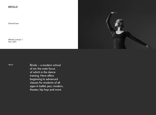 Briolo | Website concept