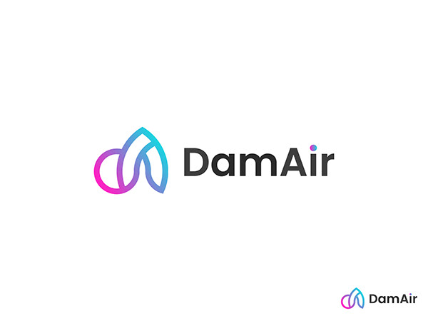 DamAir logo design for branding