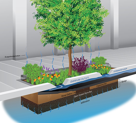 3D illustration Illustrator environmental green infrastructure diagram Proposal Graphics Perspective