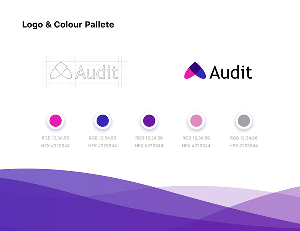 Audit - Finance App Concept