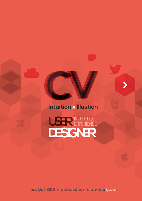 infographic personal cv on behance