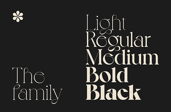 Voyage Typeface - New Styles