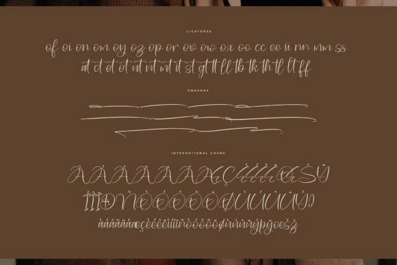 lettering typography   Calligraphy   Script handwritten Typeface type design graphic design  font design