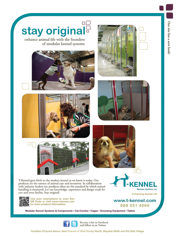 t-kennel  Advertisement bright colors animal kennel Kendra design graphics