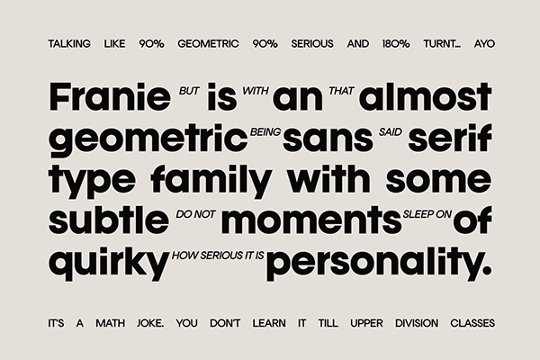 Franie Variable Geometric Sans Family (18 Fonts)