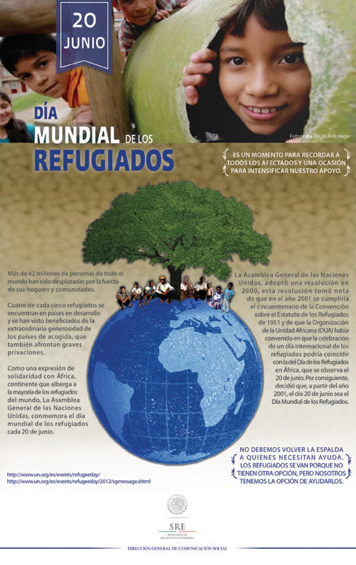 infografias SRE flyers maillings Servicio social
