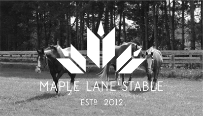equestrian maple stable Canada Maple Leaf  Canadian horse farm logo identity