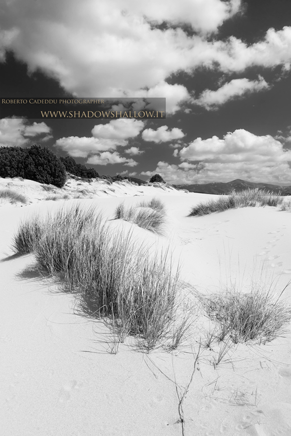 b/n b/w Black&white Landscape paesaggio snow Neve spiaggia beach desert deserto Molentargius is cioffus