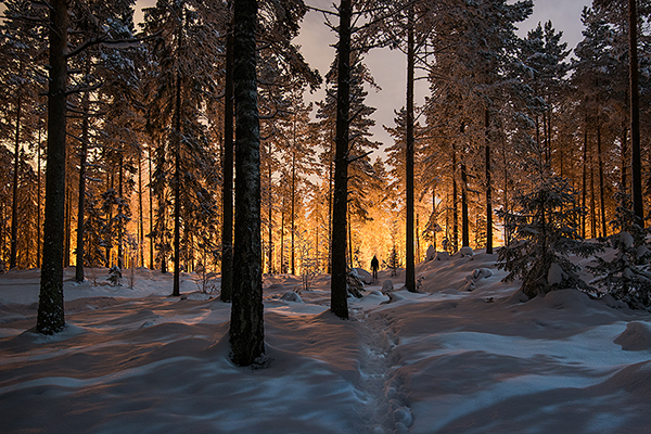 between Two worlds winter spirit finland new photos mikko lagerstedt