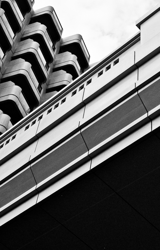 abstract palme dubai UAE JPR FINEART black White