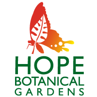 rebranding garden hope