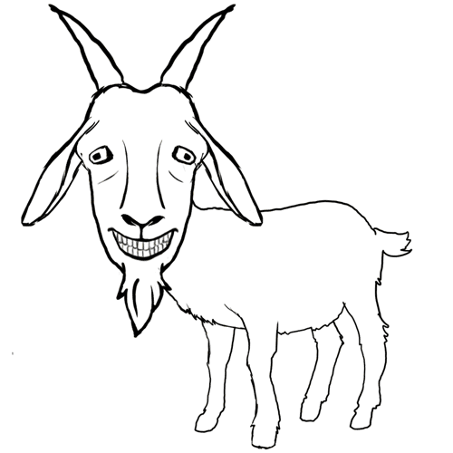 cabra goat
