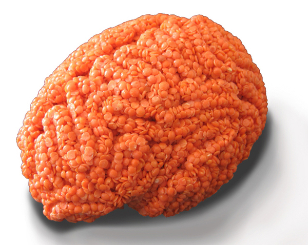 sculpture brain anatomy Food  medicine art
