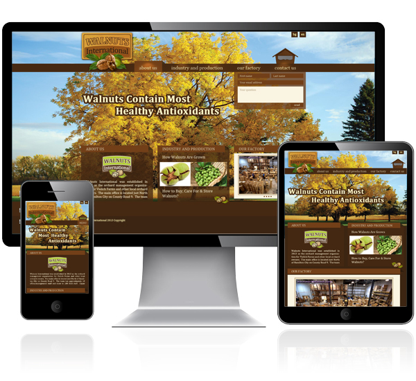 Webdesign web layouts responsive web Website Design