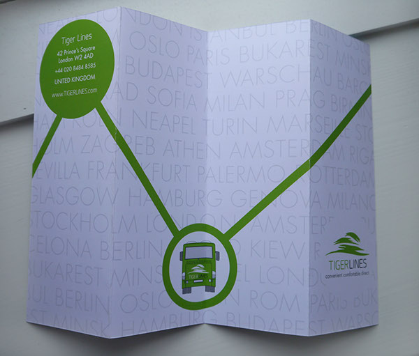 tiger lines design Corporate Identity logo brand Travel brochure flyer poster